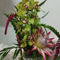 flors_maria_galeria_04